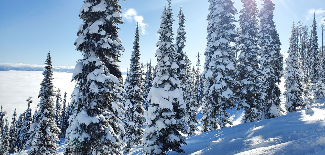 snow on Blacktail Mountain